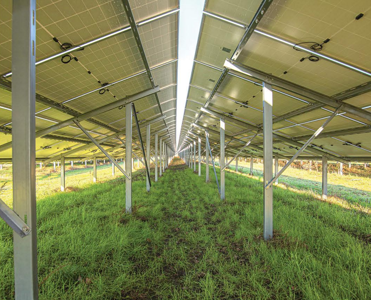 Sistem de montaj fotovoltaic la sol pentru 200 Panouri 35/euro/panou